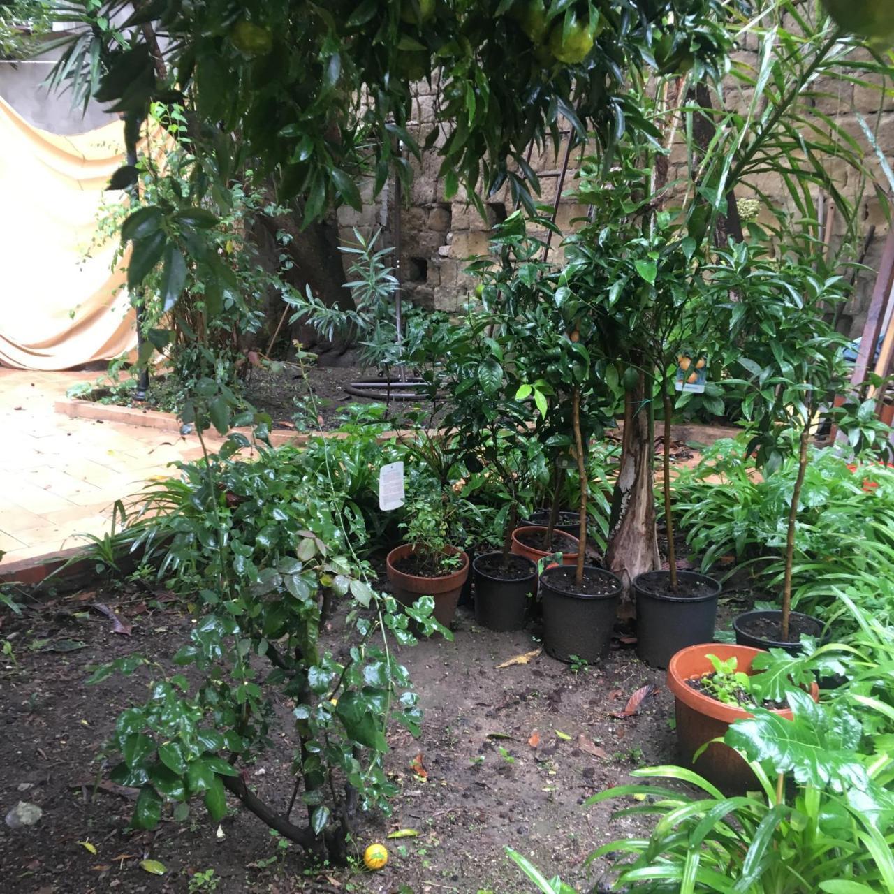 Il Giardino Di Daphne Bed & Breakfast Napoli Bagian luar foto