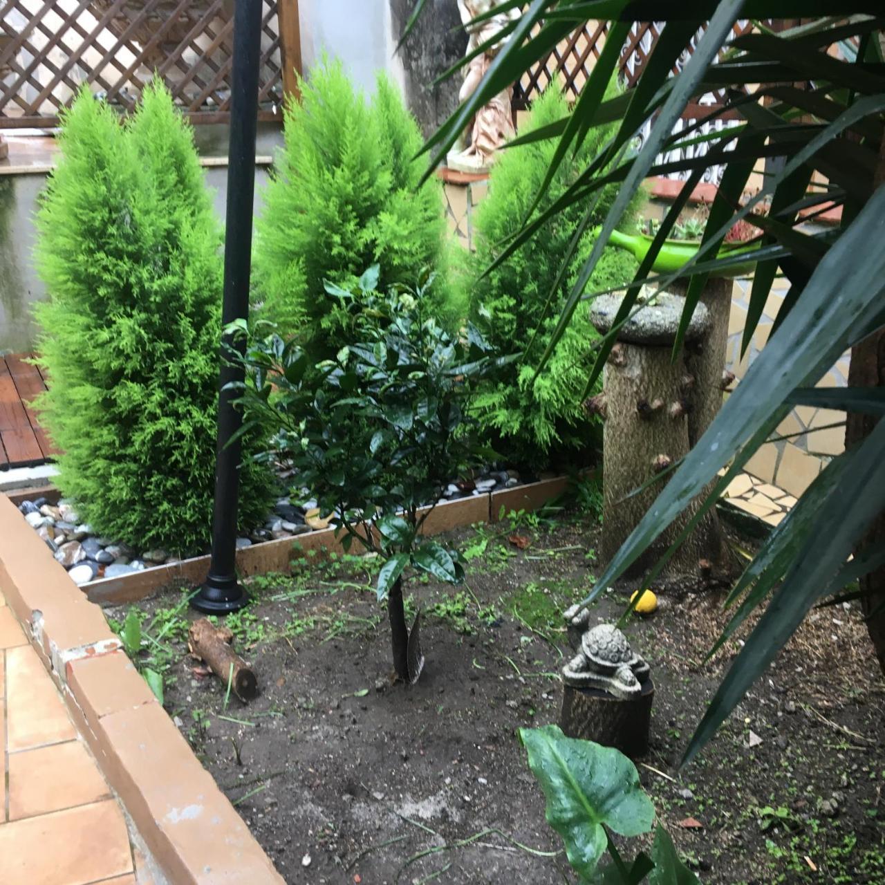 Il Giardino Di Daphne Bed & Breakfast Napoli Bagian luar foto